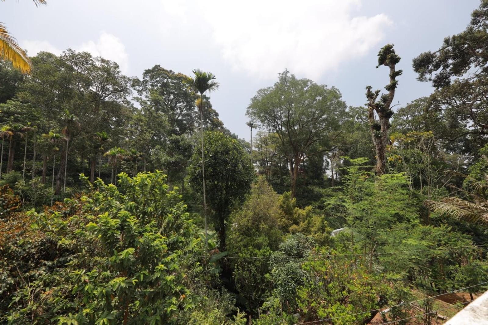 Green Shades Munnar Exterior foto