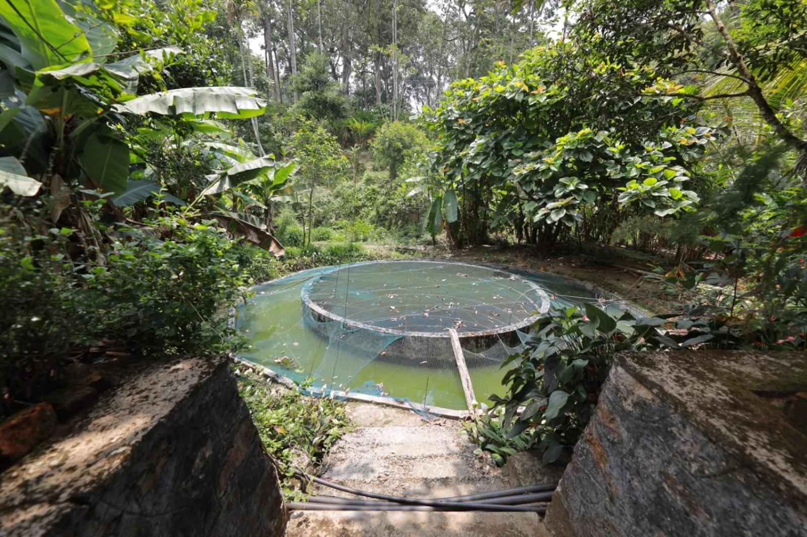 Green Shades Munnar Exterior foto