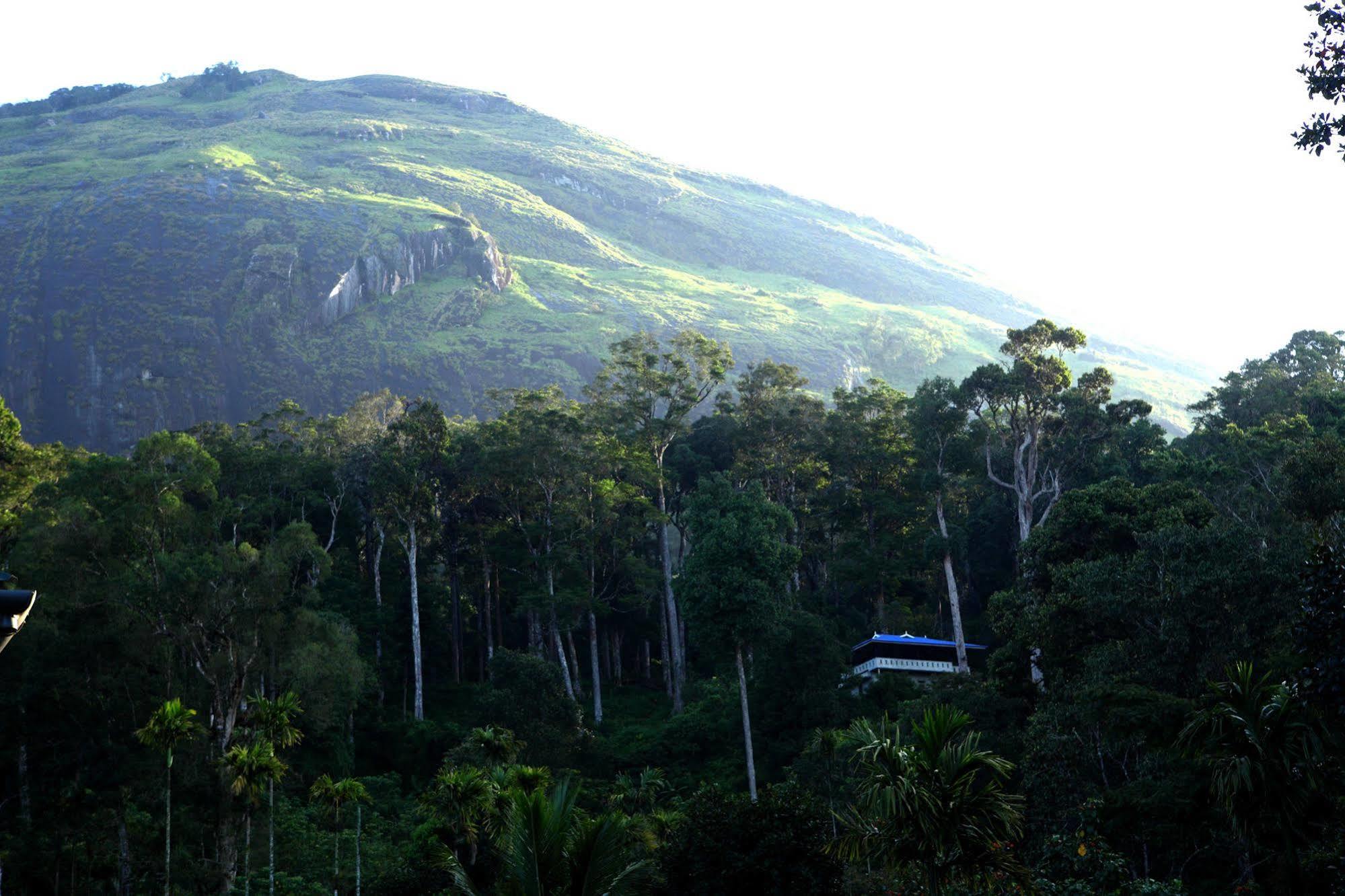 Green Shades Munnar Exterior foto